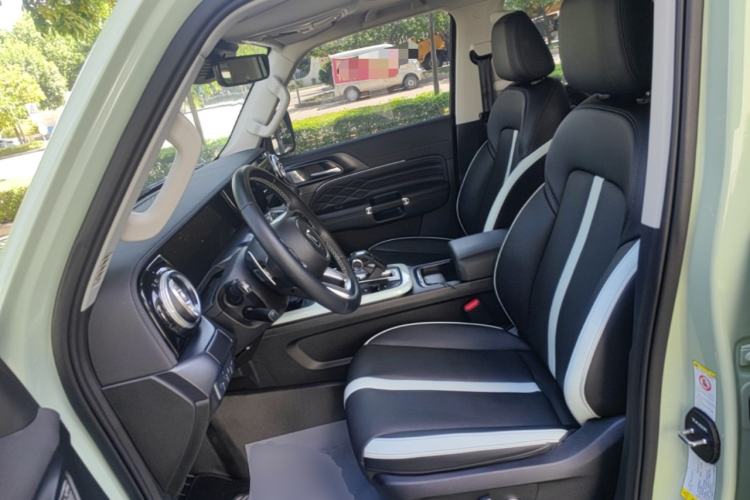 Used Tank 300 2021 City Edition 2.0T—Truly Stylish Left Front Seat