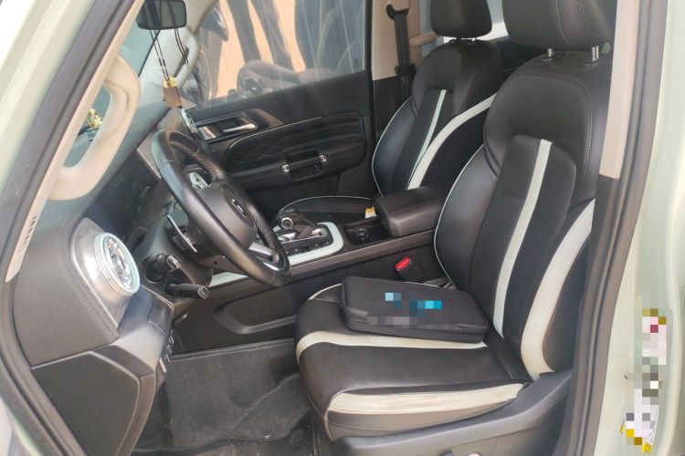 Used Tank 300 2021 City Edition 2.0T—Truly Stylish Left Front Seat
