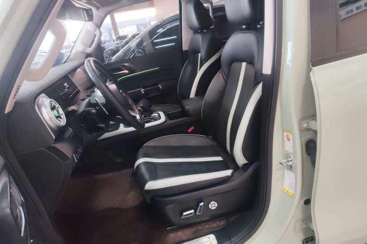 Used Tank 300 2021 City Edition 2.0T—Truly Stylish Left Front Seat