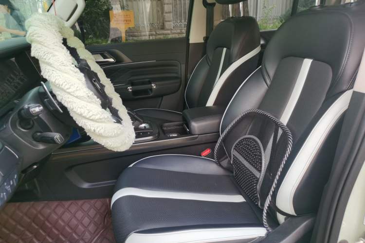 Used Tank 300 2021 City Edition 2.0T—Truly Stylish Left Front Seat