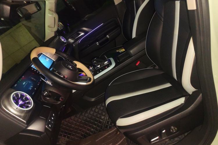 Used Tank 300 2021 City Edition 2.0T—Truly Stylish Left Front Seat