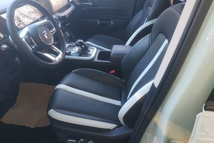 Used Tank 300 2021 City Edition 2.0T—Truly Stylish Left Front Seat