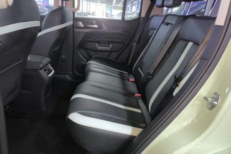Used Tank 300 2021 City Edition 2.0T—Truly Stylish Left Rear Seat