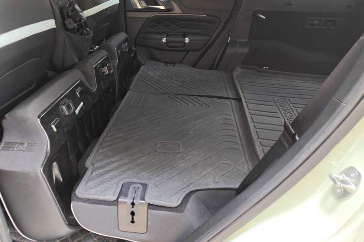 Used Tank 300 2021 City Edition 2.0T—Truly Stylish Left Rear Seat