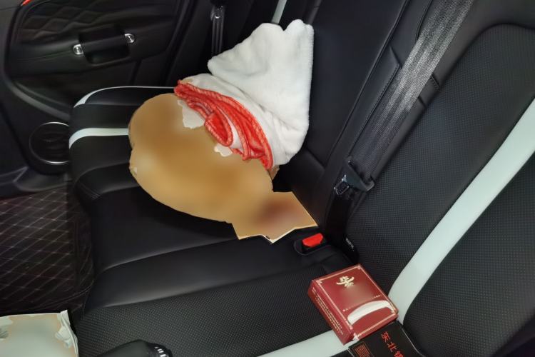 Used Tank 300 2021 City Edition 2.0T—Truly Stylish Left Rear Seat