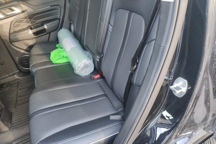 Used Tank 300 2021 City Edition 2.0T—Truly Stylish Left Rear Seat
