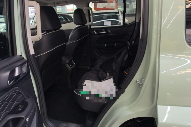 Used Tank 300 2021 City Edition 2.0T—Truly Stylish Left Rear Seat
