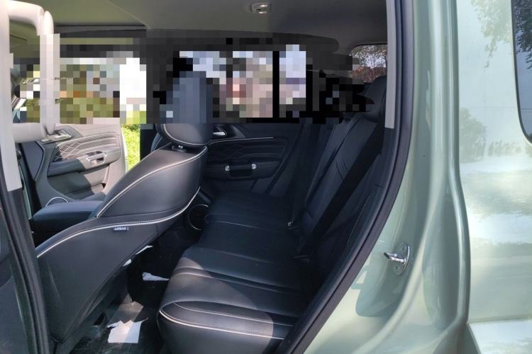 Used Tank 300 2021 City Edition 2.0T—Truly Stylish Left Rear Seat