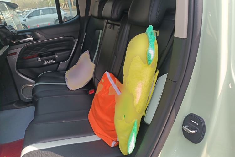 Used Tank 300 2021 City Edition 2.0T—Truly Stylish Left Rear Seat