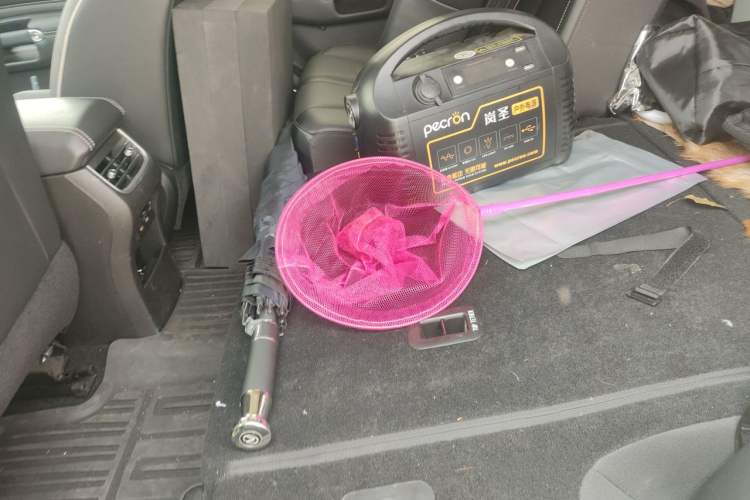Used Tank 300 2021 2.0T Wind & Forest Iron Rider Left Rear Seat