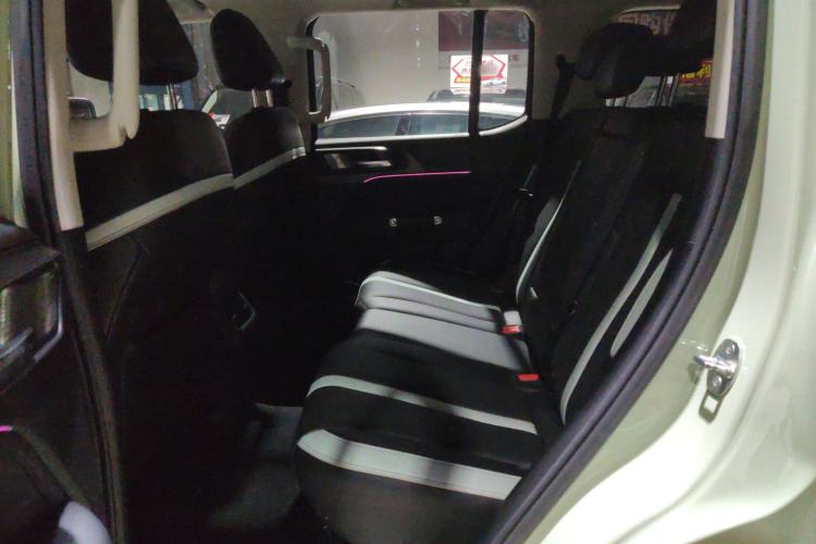 Used Tank 300 2021 City Edition 2.0T—Truly Stylish Left Rear Seat