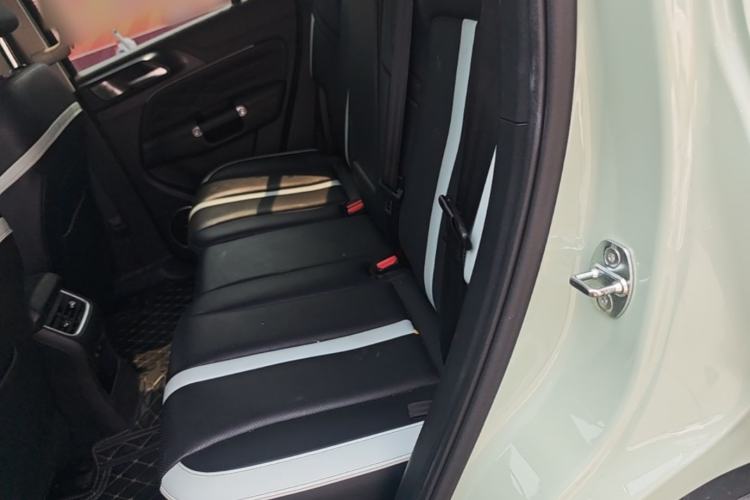 Used Tank 300 2021 City Edition 2.0T—Truly Stylish Left Rear Seat