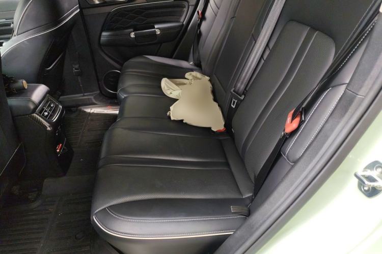 Used Tank 300 2021 City Edition 2.0T—Truly Stylish Left Rear Seat