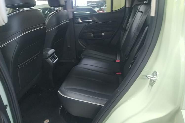 Used Tank 300 2021 City Edition 2.0T—Truly Stylish Left Rear Seat
