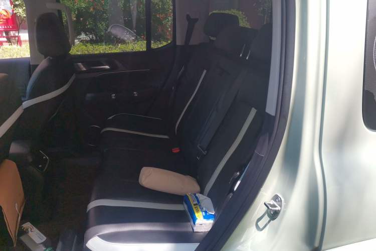 Used Tank 300 2021 City Edition 2.0T—Truly Stylish Left Rear Seat