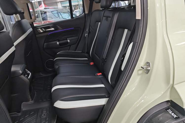 Used Tank 300 2021 City Edition 2.0T—Truly Stylish Left Rear Seat