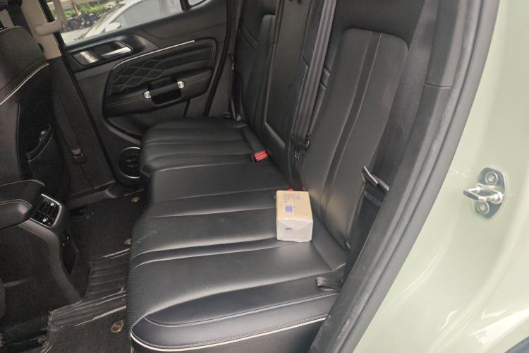 Used Tank 300 2021 City Edition 2.0T—Truly Stylish Left Rear Seat