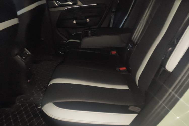 Used Tank 300 2021 City Edition 2.0T—Truly Stylish Left Rear Seat