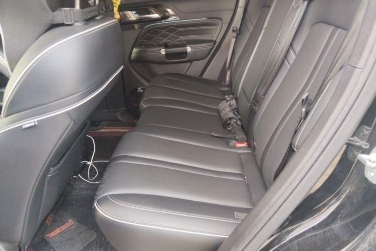 Used Tank 300 2021 Off-Road Edition 2.0T Conqueror Left Rear Seat