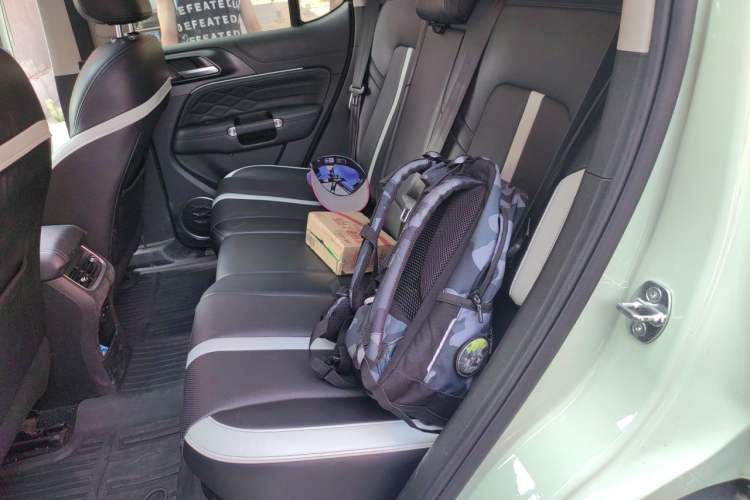Used Tank 300 2021 City Edition 2.0T—Truly Stylish Left Rear Seat