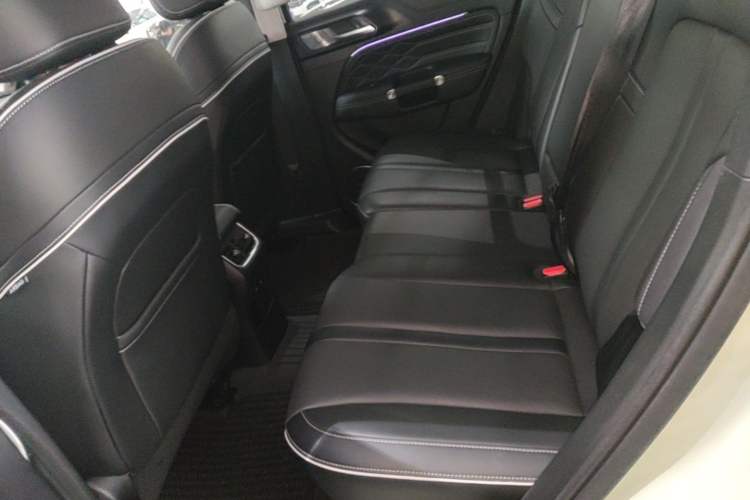 Used Tank 300 2021 City Edition 2.0T—Truly Stylish Left Rear Seat