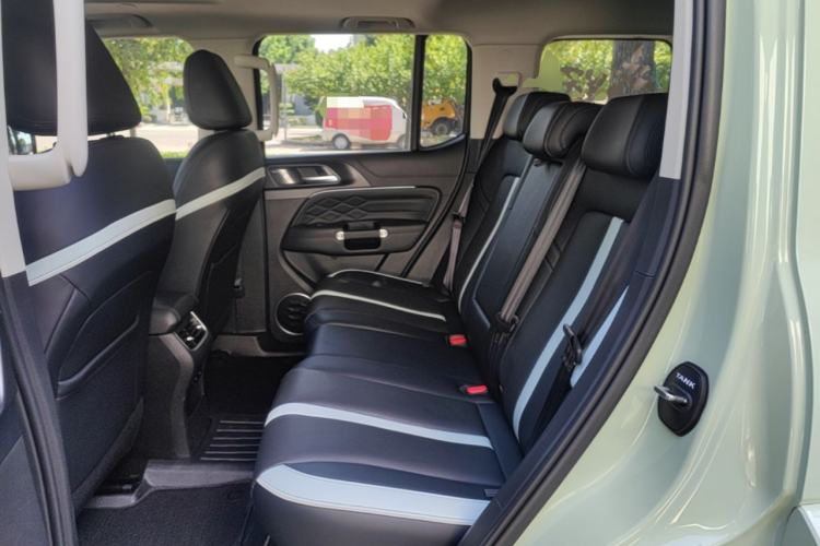 Used Tank 300 2021 City Edition 2.0T—Truly Stylish Left Rear Seat