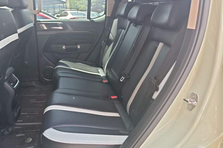 Used Tank 300 2021 City Edition 2.0T—Truly Stylish Left Rear Seat
