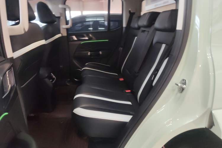 Used Tank 300 2021 City Edition 2.0T—Truly Stylish Left Rear Seat
