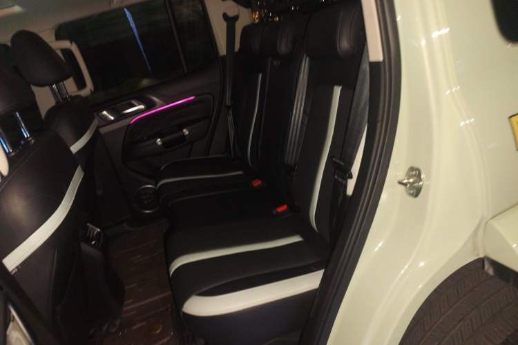 Used Tank 300 2021 City Edition 2.0T—Truly Stylish Left Rear Seat
