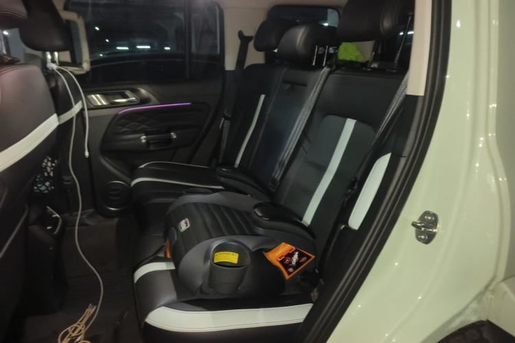 Used Tank 300 2021 City Edition 2.0T—Truly Stylish Left Rear Seat