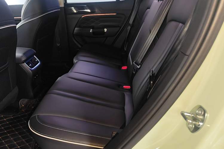 Used Tank 300 2021 City Edition 2.0T—Truly Stylish Left Rear Seat