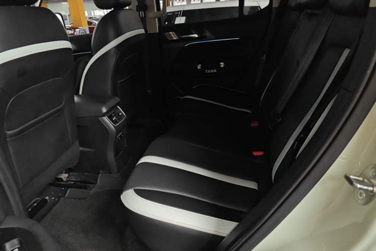 Used Tank 300 2021 City Edition 2.0T—Truly Stylish Left Rear Seat