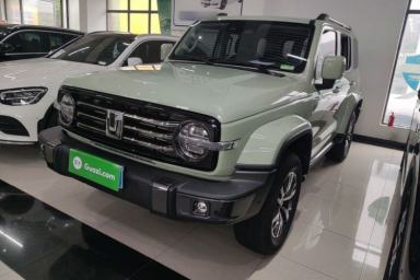 Used Tank 300 2021 City Edition 2.0T—Truly Stylish
