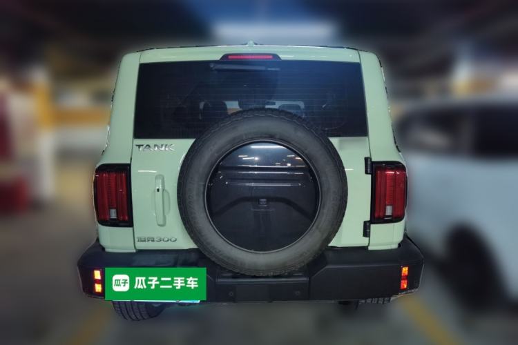 Used Tank 300 2021 City Edition 2.0T—Truly Stylish Rear