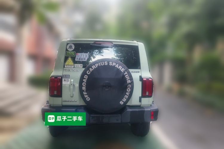Used Tank 300 2021 City Edition 2.0T—Truly Stylish Rear