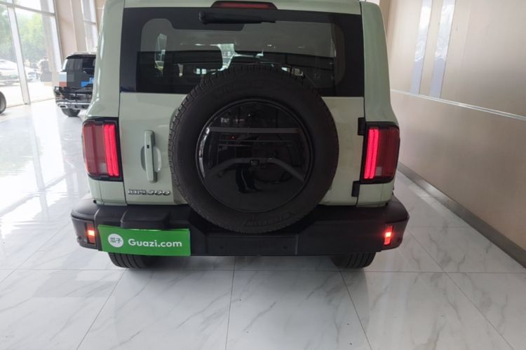 Used Tank 300 2021 City Edition 2.0T—Truly Stylish Rear