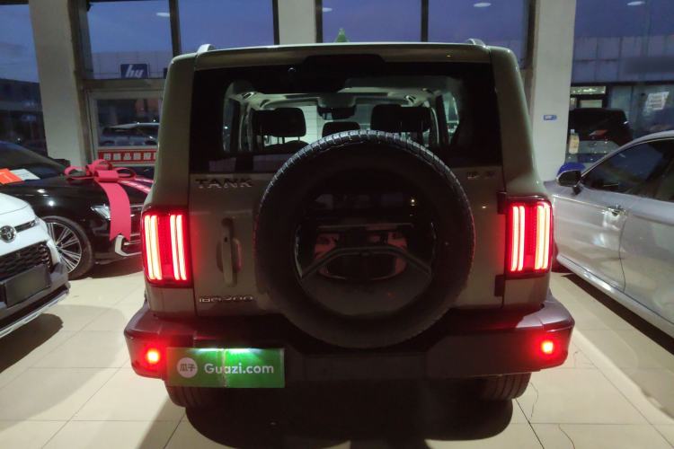 Used Tank 300 2021 City Edition 2.0T—Truly Stylish Rear