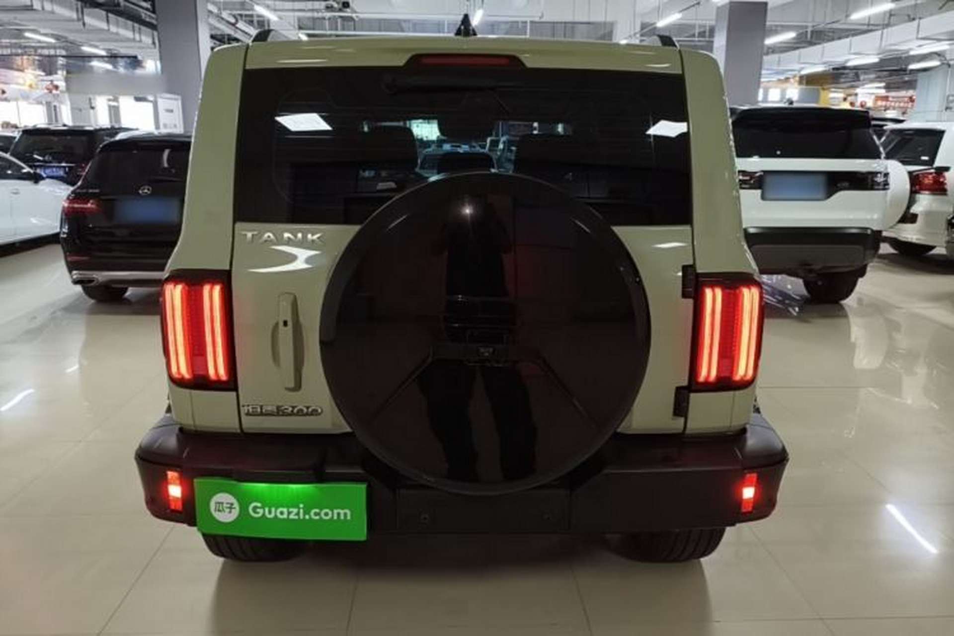 Used Tank 300 2021 City Edition 2.0T—Truly Stylish Rear
