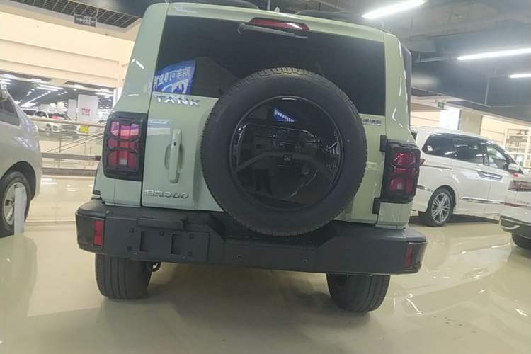 Used Tank 300 2021 City Edition 2.0T—Truly Stylish Rear