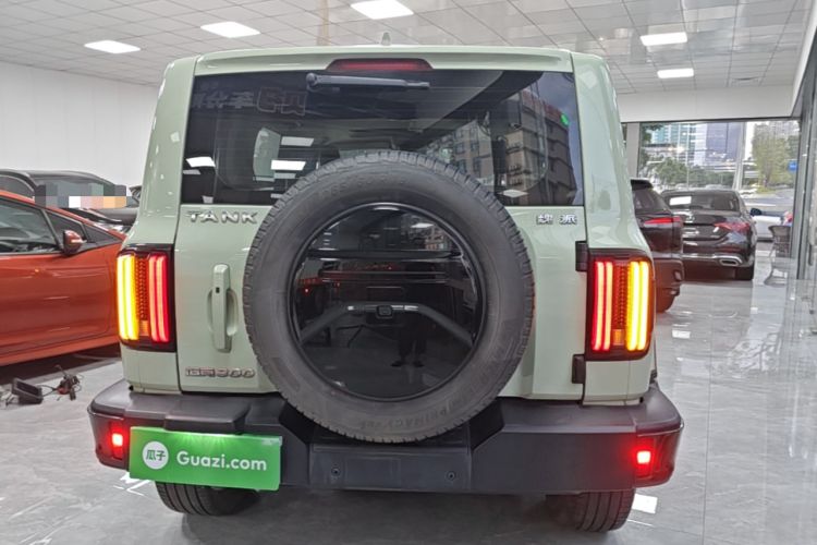 Used Tank 300 2021 City Edition 2.0T—Truly Stylish Rear