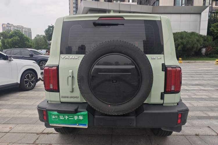 Used Tank 300 2021 City Edition 2.0T—Truly Stylish Rear