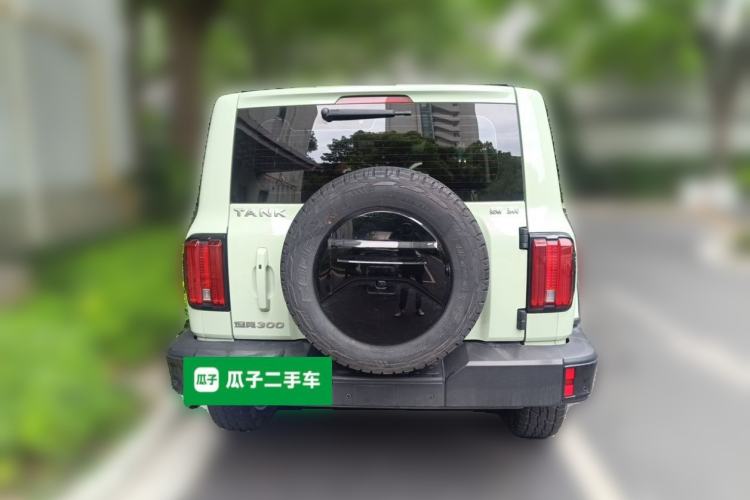 Used Tank 300 2021 City Edition 2.0T—Truly Stylish Rear