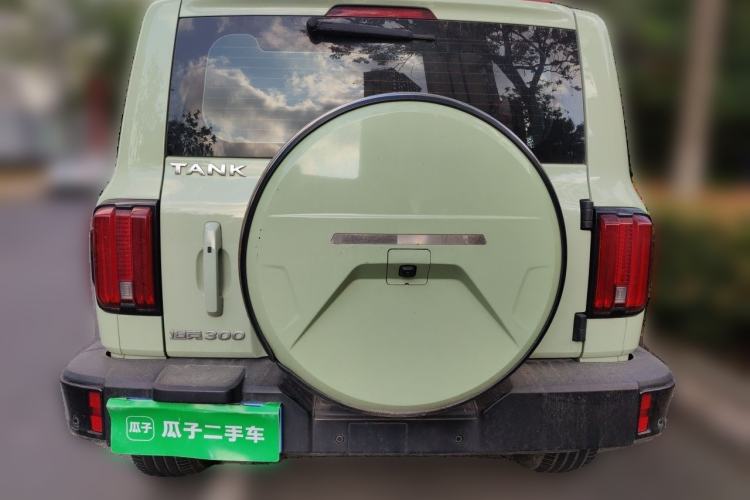 Used Tank 300 2021 City Edition 2.0T—Truly Stylish Rear