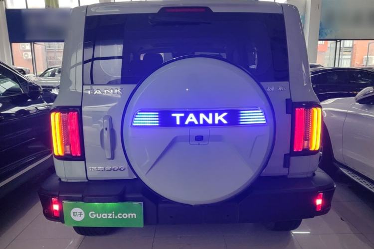 Used Tank 300 2021 City Edition 2.0T—Truly Stylish Rear