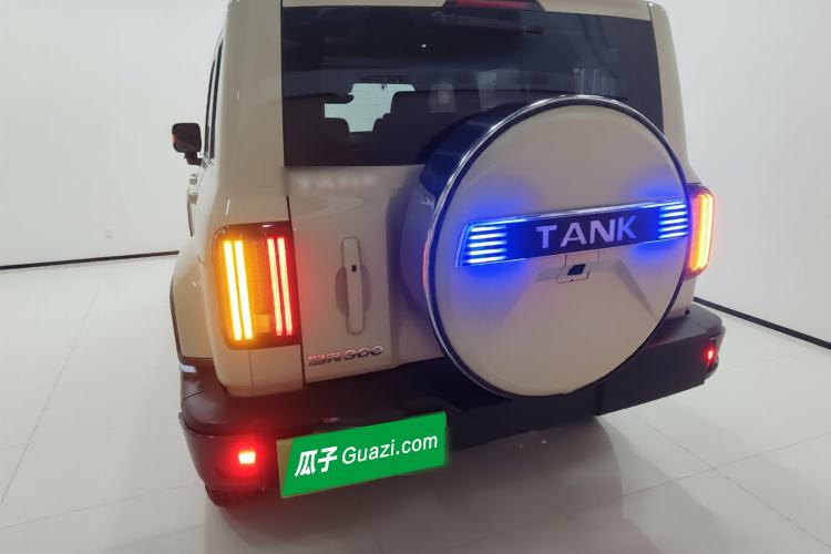 Used Tank 300 2021 City Edition 2.0T—Truly Stylish Rear