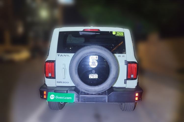Used Tank 300 2021 City Edition 2.0T—Truly Stylish Rear
