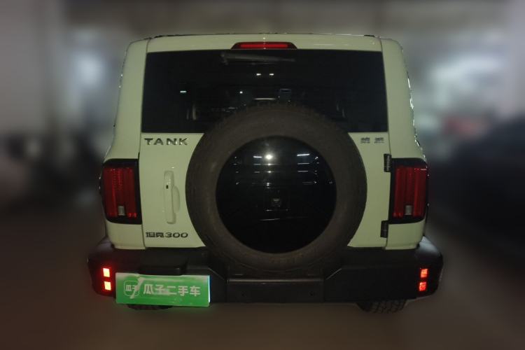Used Tank 300 2021 City Edition 2.0T—Truly Stylish Rear