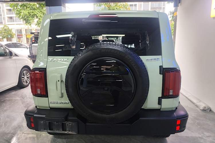 Used Tank 300 2021 City Edition 2.0T—Truly Stylish Rear