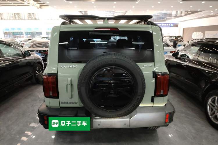 Used Tank 300 2021 City Edition 2.0T—Truly Stylish Rear