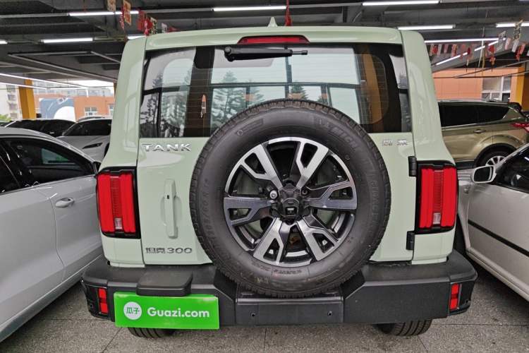 Used Tank 300 2021 City Edition 2.0T—Truly Stylish Rear